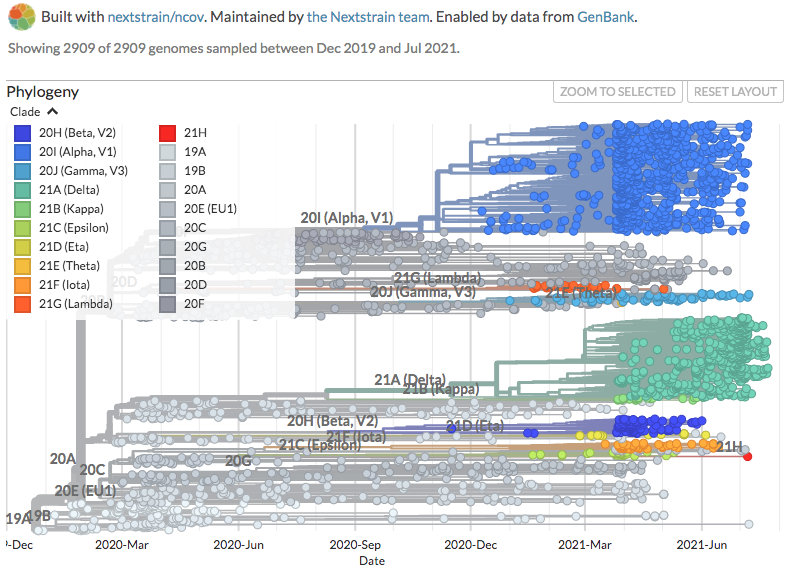 CovidVariants 2021 08 02