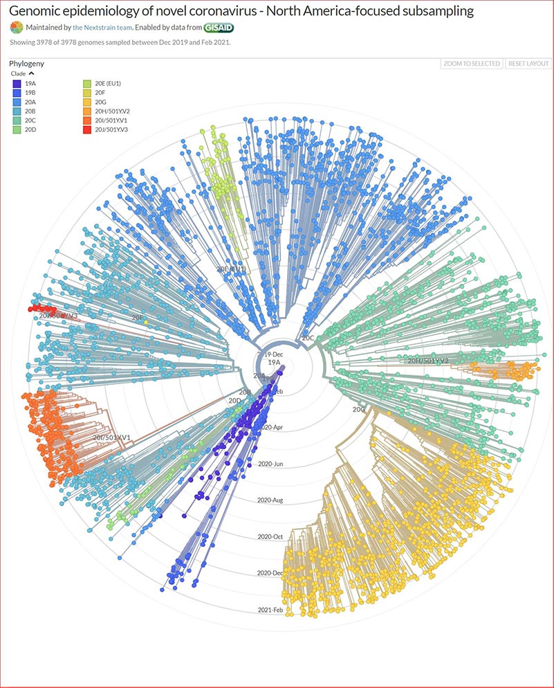 NAmerFocusedGenomicEvolution Radial 801w994h