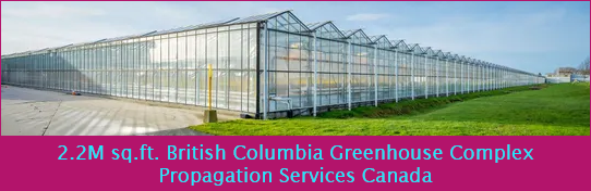 PropagationServicesCanada 2 2Mftsq BC greenhouse